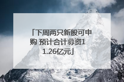 下周两只新股可申购 预计合计募资11.26亿元