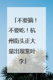 不要摘！不要吃！杭州街头正大量出现紫叶李