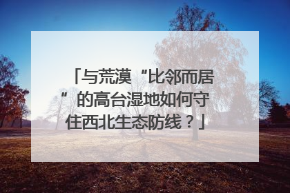 与荒漠“比邻而居”的高台湿地如何守住西北生态防线？