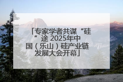 专家学者共谋“硅”途 2025年中国（乐山）硅产业链发展大会开幕