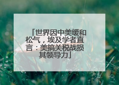 世界因中美缓和松气，埃及学者直言：美搞关税战损其领导力