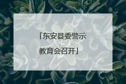 东安县委警示教育会召开