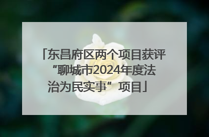 东昌府区两个项目获评“聊城市2024年度法治为民实事”项目