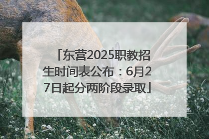 东营2025职教招生时间表公布：6月27日起分两阶段录取