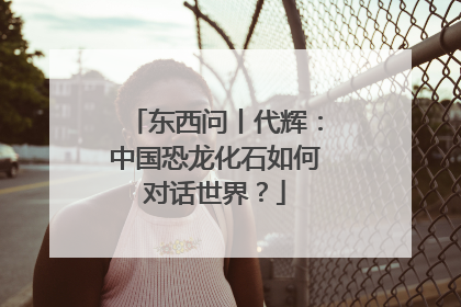 东西问丨代辉：中国恐龙化石如何对话世界？