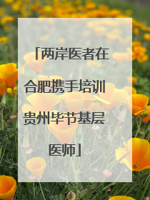 两岸医者在合肥携手培训贵州毕节基层医师