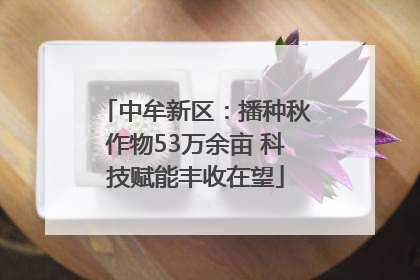 中牟新区：播种秋作物53万余亩 科技赋能丰收在望