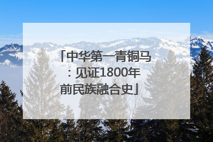 中华第一青铜马：见证1800年前民族融合史
