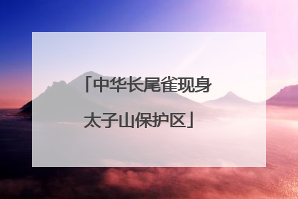 中华长尾雀现身太子山保护区