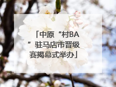 中原“村BA”驻马店市晋级赛揭幕式举办