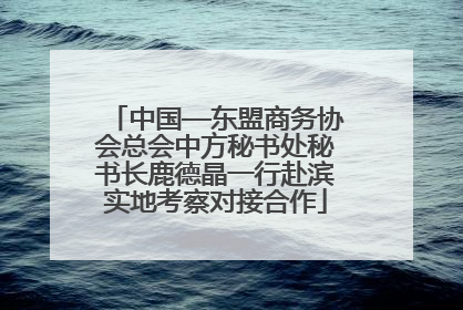 中国—东盟商务协会总会中方秘书处秘书长鹿德晶一行赴滨实地考察对接合作
