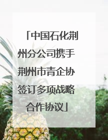 中国石化荆州分公司携手荆州市青企协签订多项战略合作协议