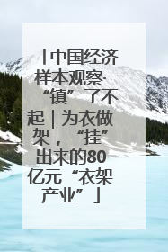中国经济样本观察·“镇”了不起｜为衣做架，“挂”出来的80亿元“衣架产业”