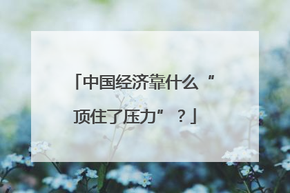 中国经济靠什么“顶住了压力”？