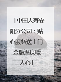 中国人寿安阳分公司：贴心服务送上门 金融温度暖人心
