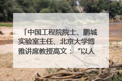 中国工程院院士、鹏城实验室主任、北京大学博雅讲席教授高文：“以人为本 智能向善” 推动文化与科技相生相促｜聚焦2025文化强国建设高峰论坛