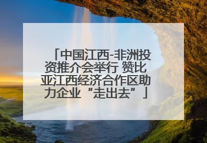中国江西-非洲投资推介会举行 赞比亚江西经济合作区助力企业“走出去”