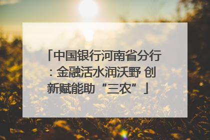 中国银行河南省分行：金融活水润沃野 创新赋能助“三农”