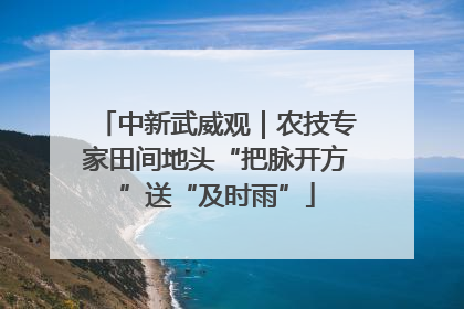 中新武威观｜农技专家田间地头“把脉开方”送“及时雨”