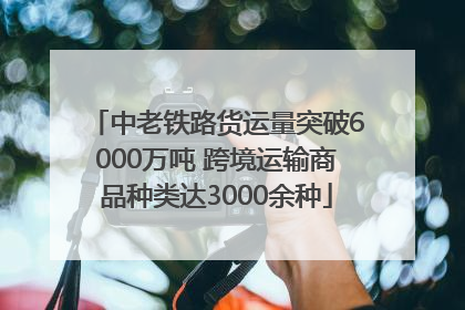 中老铁路货运量突破6000万吨 跨境运输商品种类达3000余种