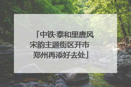 中铁·泰和里唐风宋韵主题街区开市 郑州再添好去处