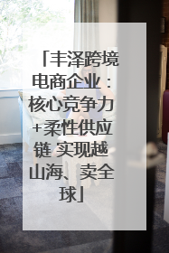 丰泽跨境电商企业：核心竞争力+柔性供应链 实现越山海、卖全球