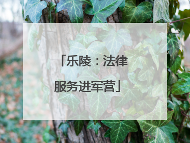 乐陵：法律服务进军营