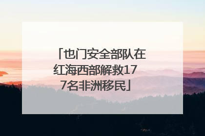 也门安全部队在红海西部解救177名非洲移民