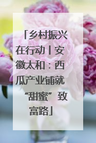 乡村振兴在行动丨安徽太和：西瓜产业铺就“甜蜜”致富路