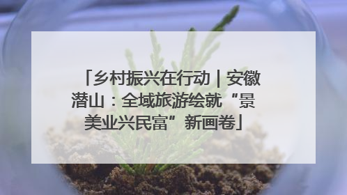 乡村振兴在行动｜安徽潜山：全域旅游绘就“景美业兴民富”新画卷