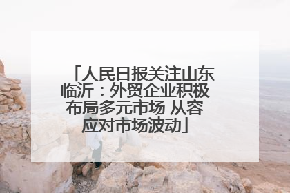 人民日报关注山东临沂：外贸企业积极布局多元市场 从容应对市场波动