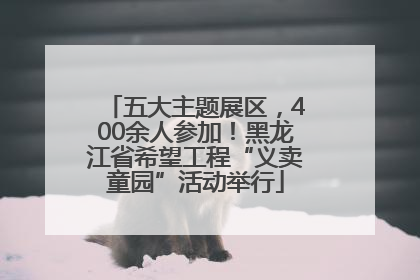 五大主题展区，400余人参加！黑龙江省希望工程“义卖童园”活动举行