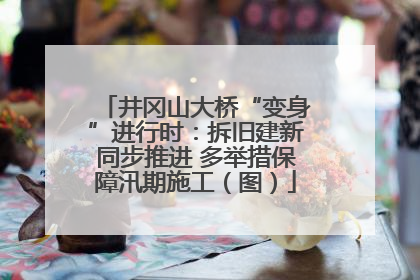井冈山大桥“变身”进行时：拆旧建新同步推进 多举措保障汛期施工（图）