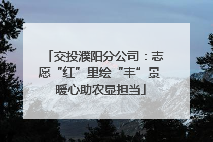 交投濮阳分公司：志愿“红”里绘“丰”景 暖心助农显担当