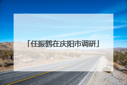 任振鹤在庆阳市调研