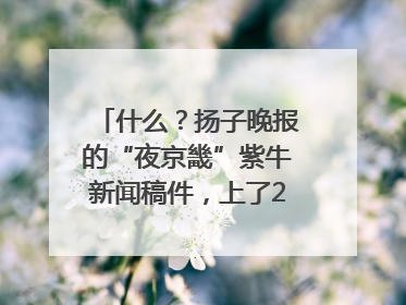 什么？扬子晚报的“夜京畿”紫牛新闻稿件，上了2025年镇江中考模拟卷！