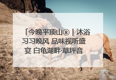 今晚平顶山⑧｜沐浴习习晚风 品味视听盛宴 白龟湖畔·草坪音乐会激情上演