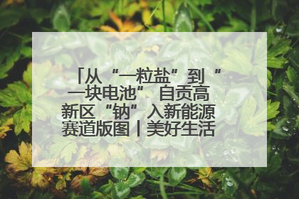 从“一粒盐”到“一块电池” 自贡高新区“钠”入新能源赛道版图丨美好生活有“盐”味