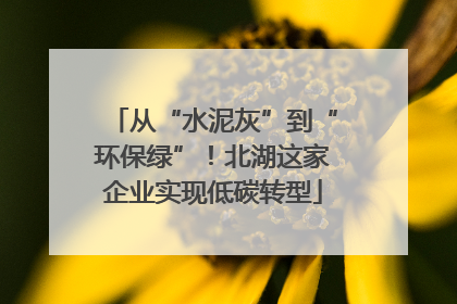 从“水泥灰”到“环保绿”！北湖这家企业实现低碳转型