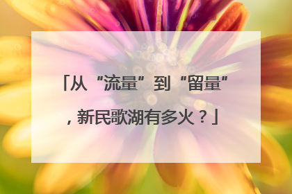 从“流量”到“留量”，新民歌湖有多火？