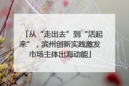 从“走出去”到“活起来”，滨州创新实践激发市场主体出海动能