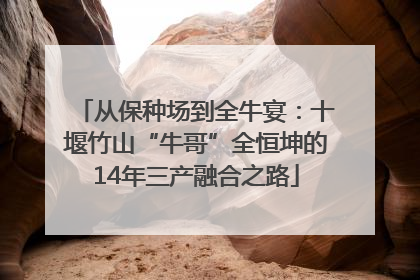 从保种场到全牛宴：十堰竹山“牛哥”全恒坤的14年三产融合之路