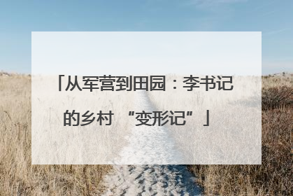 从军营到田园：李书记的乡村 “变形记”