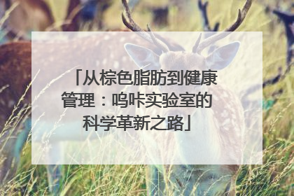 从棕色脂肪到健康管理：呜咔实验室的科学革新之路