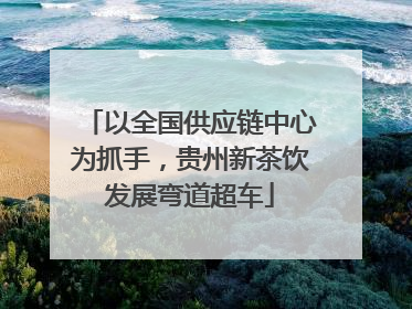 以全国供应链中心为抓手，贵州新茶饮发展弯道超车