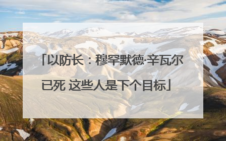 以防长：穆罕默德·辛瓦尔已死 这些人是下个目标