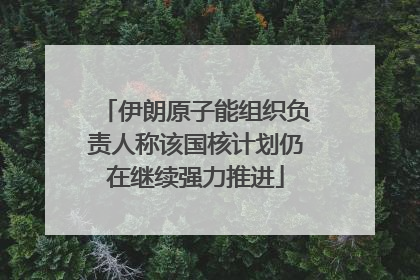 伊朗原子能组织负责人称该国核计划仍在继续强力推进