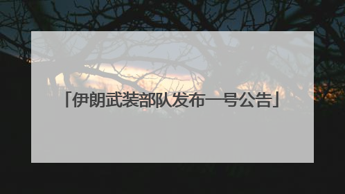 伊朗武装部队发布一号公告