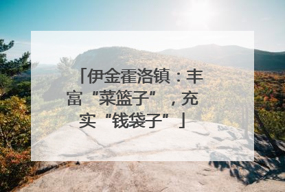 伊金霍洛镇：丰富“菜篮子”，充实“钱袋子”