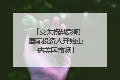受关税战影响 国际投资人开始重估美国市场